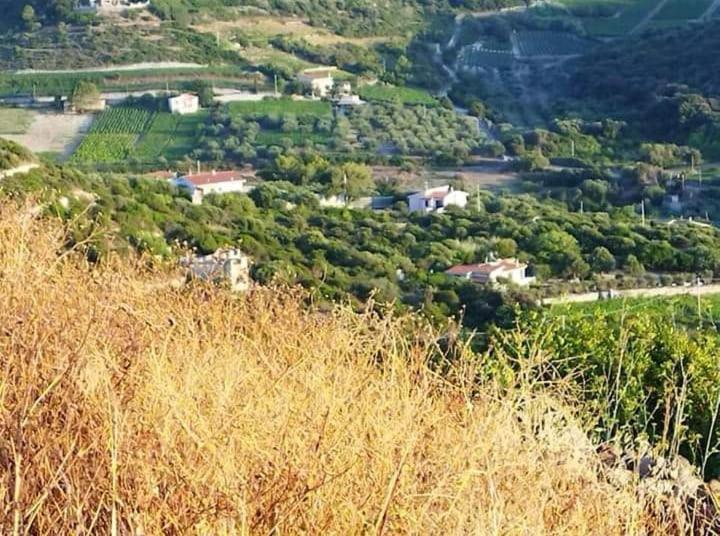 B&B Ammentos Magomadas Kültér fotó
